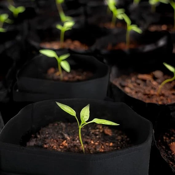 wholesale non woven planting bags